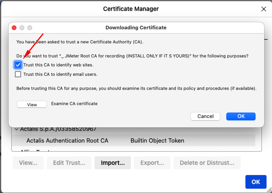 Allow the certificate to identify websites.